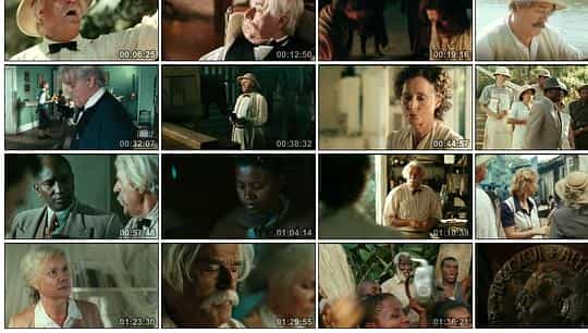 电影《史怀哲传  Albert Schweitzer》（2009德国 / 南非）--高清4K/1080P迅雷BT资源下载