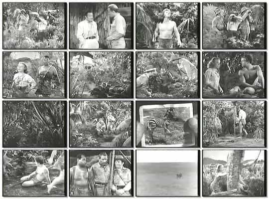 电影《Bomba, the Jungle Boy》（1949美国）--高清4K/1080P迅雷BT资源下载