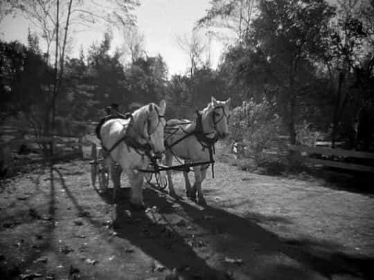 电影《鲨岛逃生记  The Prisoner of Shark Island》（1936美国）--高清4K/1080P迅雷BT资源下载