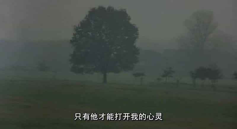 电影《我美丽的守护天使  Prendimi l'anima》（2002意大利 / 法国 / 英国）--高清4K/1080P迅雷BT资源下载