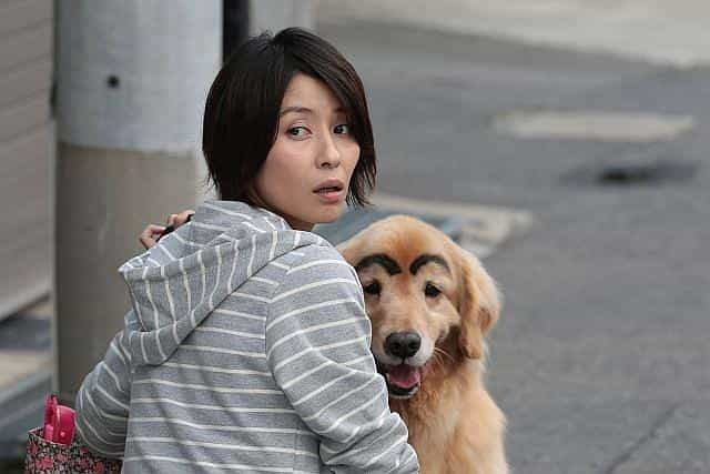 电影《命运之鸟  運命の鳥》（2012日本）--高清4K/1080P迅雷BT资源下载