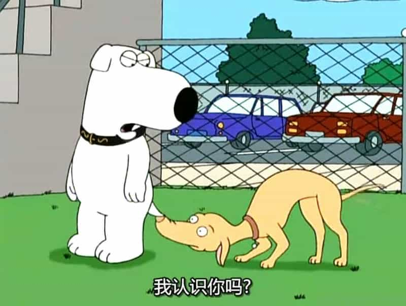 动漫剧《恶搞之家 第一季  Family Guy》（1999美国）--高清4K/1080P迅雷BT资源下载