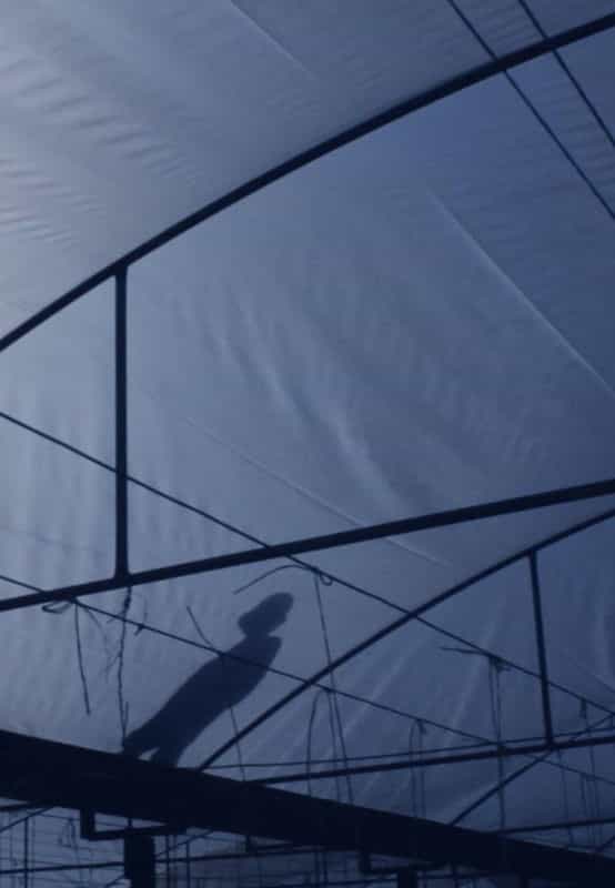 纪录片《塑料大棚  The Plastic House》（2019澳大利亚）--高清4K/1080P迅雷BT资源下载