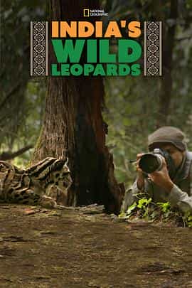 纪录片《India's Wild Leopards》（2020印度）--高清4K/1080P迅雷BT资源下载