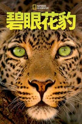 纪录片《碧眼花豹  Jade Eyed Leopard》（2020美国）--高清4K/1080P迅雷BT资源下载