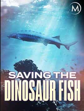 纪录片《濒危远古大鱼  Saving the Dinosaur Fish》（2020英国）--高清4K/1080P迅雷BT资源下载