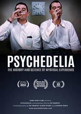 纪录片《迷幻时刻  Psychedelia》（2021美国）--高清4K/1080P迅雷BT资源下载