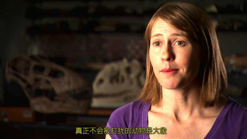 纪录片《怪异恐龙目录  Bizarre Dinosaurs》（2009美国）--高清4K/1080P迅雷BT资源下载