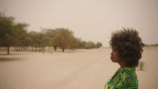 纪录片《绿色长城  The Great Green Wall》（2019英国）--高清4K/1080P迅雷BT资源下载