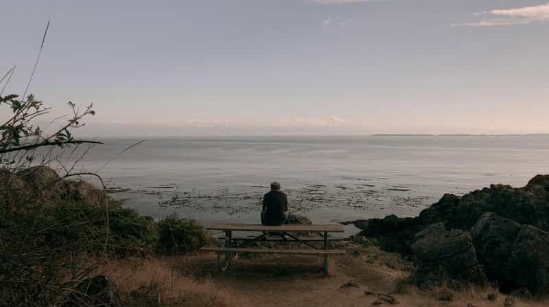 纪录片《海象与吹哨人  The Walrus and the Whistleblower》（2020加拿大）--高清4K/1080P迅雷BT资源下载