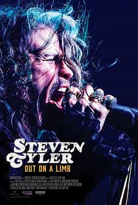 纪录片《史蒂文·泰勒：冒险  Steven Tyler: Out on a Limb》（2018美国）--高清4K/1080P迅雷BT资源下载