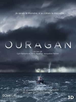 纪录片《飓风之旅  Ouragan, l'odyssée d'un vent》（2015法国）--高清4K/1080P迅雷BT资源下载