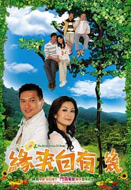 电视剧《缘来自有机  緣來自有機》（2007中国香港）--高清4K/1080P迅雷BT资源下载