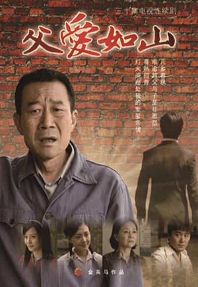 电视剧《父爱如山》（2010中国大陆）--高清4K/1080P迅雷BT资源下载