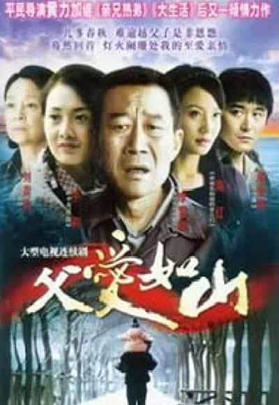 电视剧《父爱如山》（2010中国大陆）--高清4K/1080P迅雷BT资源下载