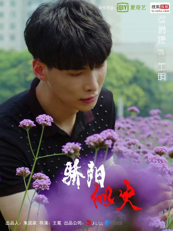 电视剧《骄阳似火》（2019中国大陆）--高清4K/1080P迅雷BT资源下载