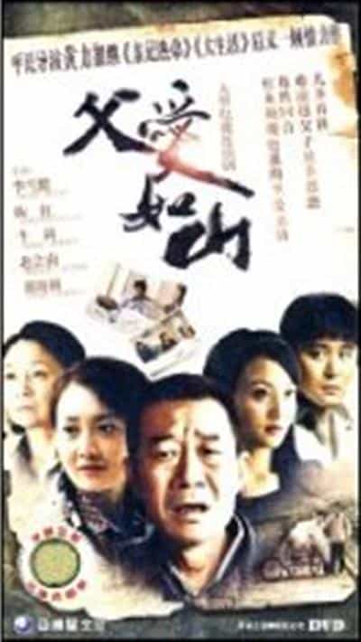 电视剧《父爱如山》（2010中国大陆）--高清4K/1080P迅雷BT资源下载