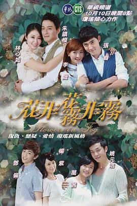 电视剧《花非花雾非雾》（2013中国大陆 / 中国台湾）--高清4K/1080P迅雷BT资源下载