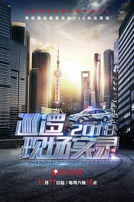 电视剧《巡逻现场实录2018》（2018中国大陆）--高清4K/1080P迅雷BT资源下载