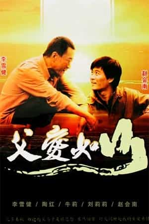 电视剧《父爱如山》（2010中国大陆）--高清4K/1080P迅雷BT资源下载