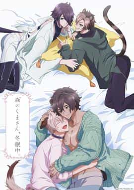 电视剧《森林里的熊先生冬眠中  森のくまさん、冬眠中。》（2022日本）--高清4K/1080P迅雷BT资源下载