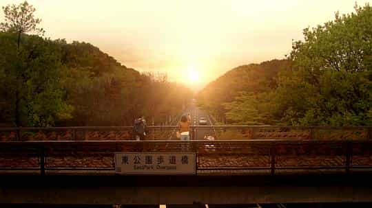 电视剧《无法坦诚相对 素直になれなくて》(2010日本)--高清4K/1080P迅雷BT资源下载 电视剧《无法坦诚相对 素直になれなくて》(2010日本)--高清4K/1080P迅雷BT资源下载