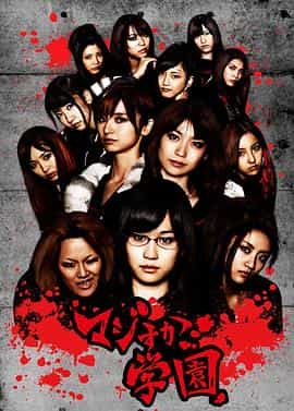 电视剧《真假学园  マジすか学園》（2010日本）--高清4K/1080P迅雷BT资源下载