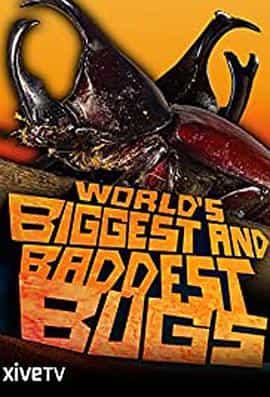 纪录片《虫霸天下  World's Biggest and Baddest Bugs》（2009美国）--高清4K/1080P迅雷BT资源下载