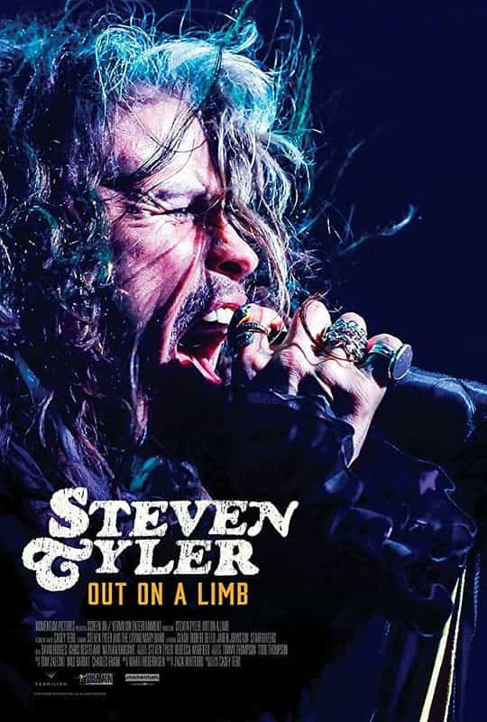 纪录片《史蒂文·泰勒：冒险  Steven Tyler: Out on a Limb》（2018美国）--高清4K/1080P迅雷BT资源下载