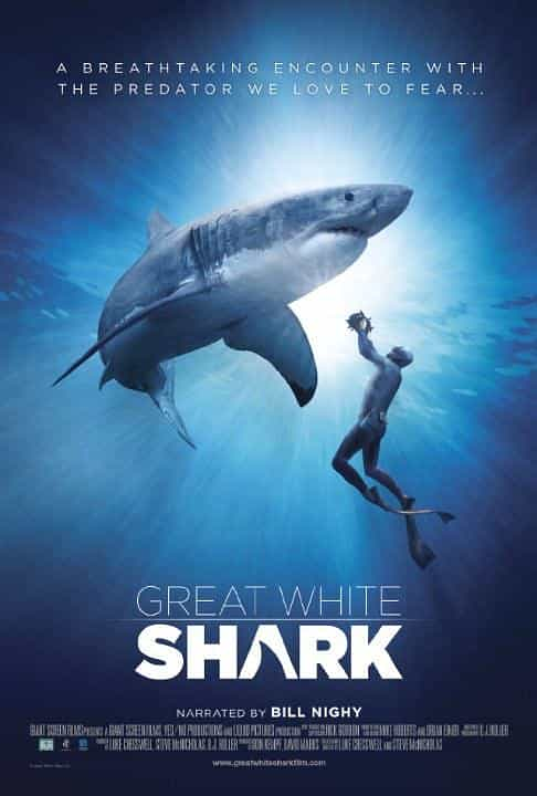 纪录片《大白鲨  Great White Shark》（2013美国）--高清4K/1080P迅雷BT资源下载