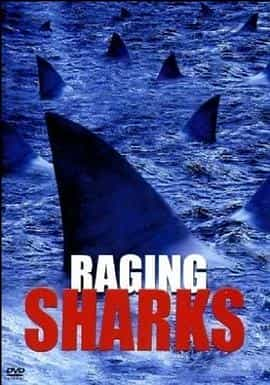 电影《怒海狂鲨  Raging Sharks》（2005美国/保加利亚）--高清4K/1080P迅雷BT资源下载