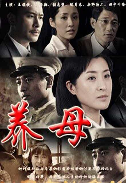 电视剧《养母》（2011中国大陆）--高清4K/1080P迅雷BT资源下载