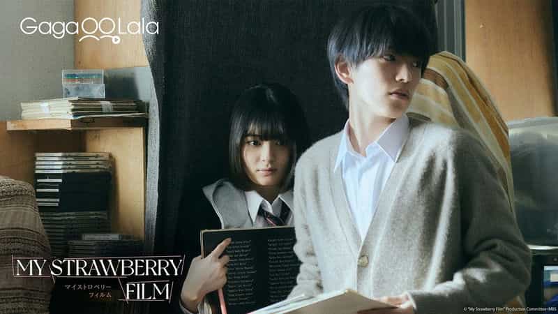 电视剧《我的草莓胶卷  マイストロベリーフィルム》（2024日本）--高清4K/1080P迅雷BT资源下载