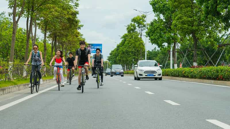 电影《皇牌机师-重装甲高校》（2019中国大陆）--高清4K/1080P迅雷BT资源下载