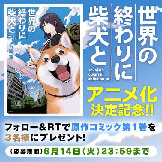 电视剧《世界末日与柴犬同行  世界の終わりに柴犬と》（2022日本）--高清4K/1080P迅雷BT资源下载