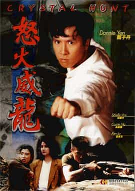 电影《怒火威龙  怒火威龍》（1992中国香港）--高清4K/1080P迅雷BT资源下载
