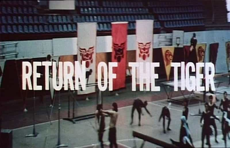 电影《猛虎回来  Return of the Tiger》（1978中国台湾）--高清4K/1080P迅雷BT资源下载