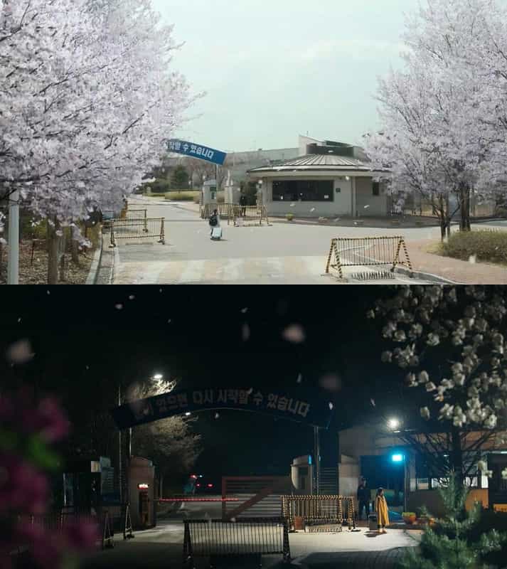 电视剧《痛症医师车耀汉  통증의사 차요한》（2019韩国）--高清4K/1080P迅雷BT资源下载