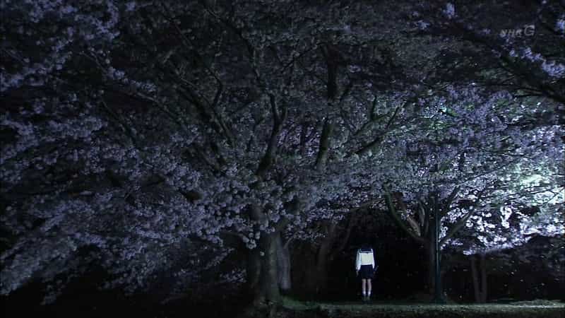 电视剧《激流：你还记得我吗？  激流～私を憶えていますか？～》（2013日本）--高清4K/1080P迅雷BT资源下载
