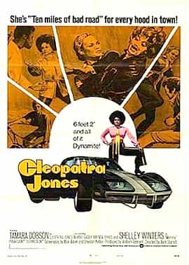 电影《女金刚斗狂龙女  Cleopatra Jones and the Casino of Gold》（1975美国 / 中国香港）--高清4K/1080P迅雷BT资源下载