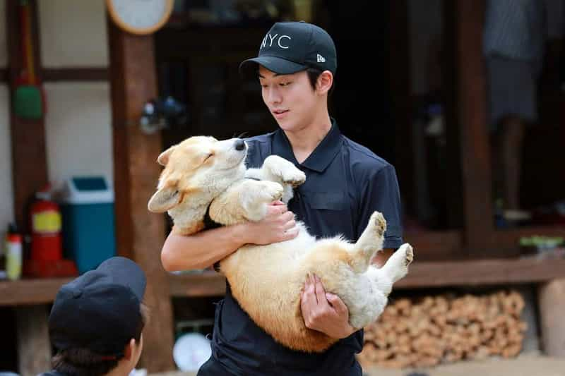 电视剧《三时三餐 高敞篇  삼시세끼 고창편》（2016韩国）--高清4K/1080P迅雷BT资源下载