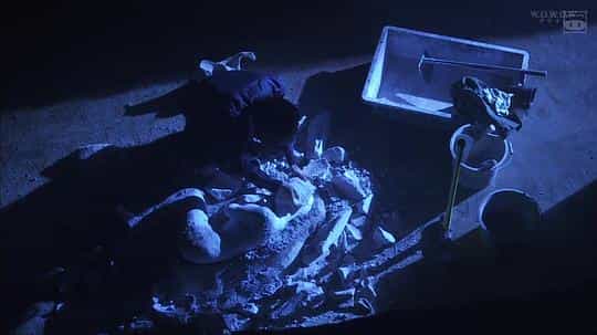电视剧《石之茧  石の繭 殺人分析班》（2015日本）--高清4K/1080P迅雷BT资源下载