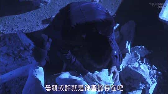 电视剧《石之茧  石の繭 殺人分析班》（2015日本）--高清4K/1080P迅雷BT资源下载