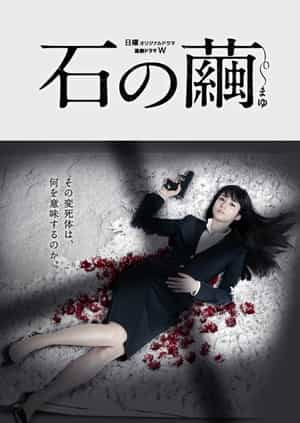 电视剧《石之茧  石の繭 殺人分析班》（2015日本）--高清4K/1080P迅雷BT资源下载