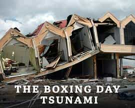 电视剧《印度洋大海啸 第一季  Boxing Day Tsunami》（2021英国）--高清4K/1080P迅雷BT资源下载