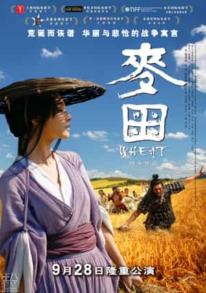 电影《麦田》（2009中国大陆）--高清4K/1080P迅雷BT资源下载