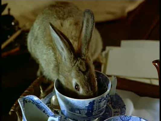 动漫剧《彼得兔和朋友们的世界  The World of Peter Rabbit and Friends》（1992英国）--高清4K/1080P迅雷BT资源下载