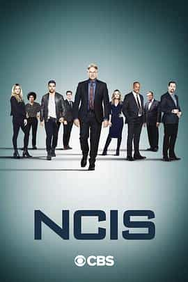 电视剧《海军罪案调查处 第十八季  NCIS: Naval Criminal Investigative Service》（2020美国）--高清4K/1080P迅雷BT资源下载