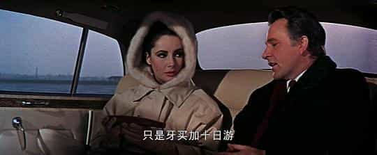 电影《一代情侣  The V.I.P.s》（1963英国）--高清4K/1080P迅雷BT资源下载