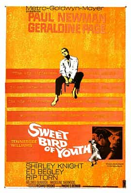 电影《春浓满楼情痴狂  Sweet Bird of Youth》（1962美国）--高清4K/1080P迅雷BT资源下载